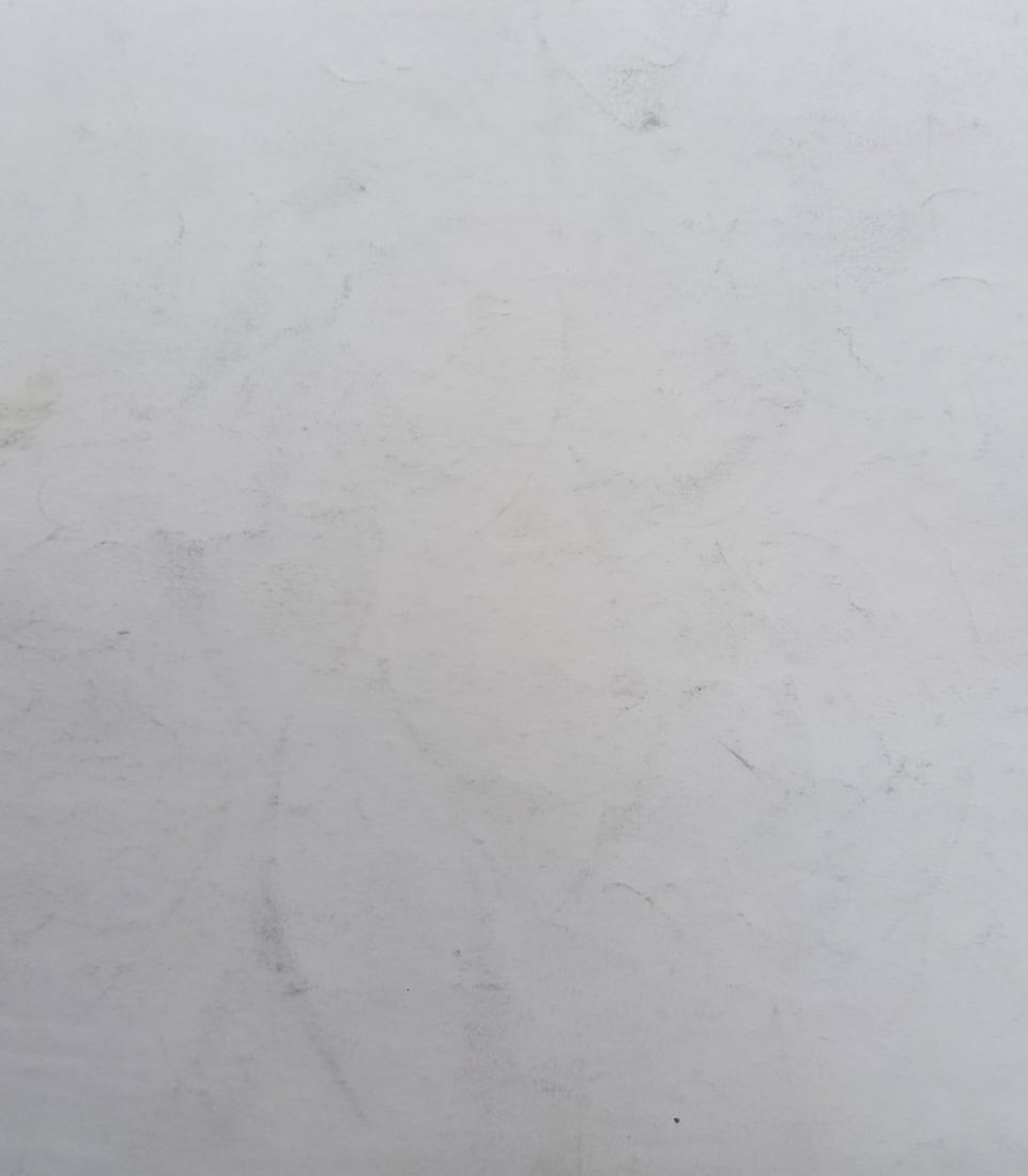 Abstract pencil painting Naked girl Peter Tovpev - 4