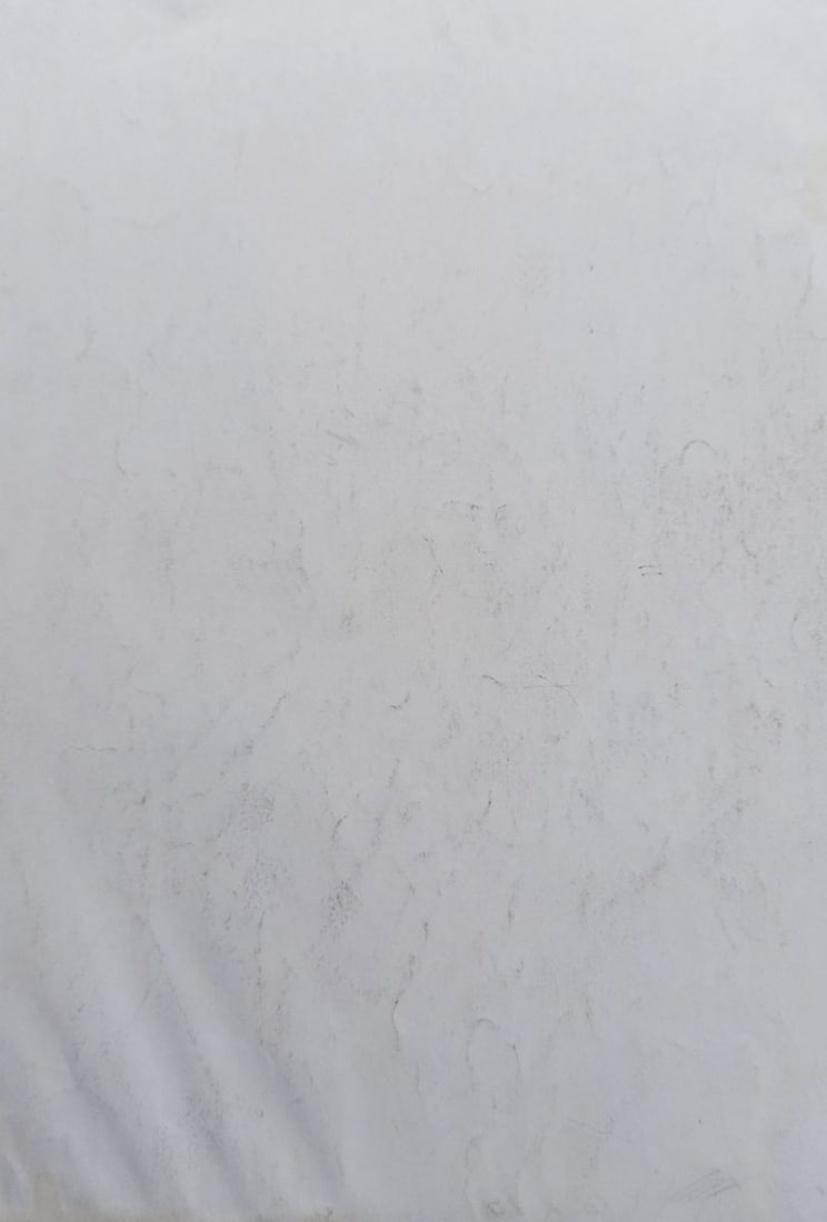 Abstract pencil painting Naked girl Peter Tovpev - 4