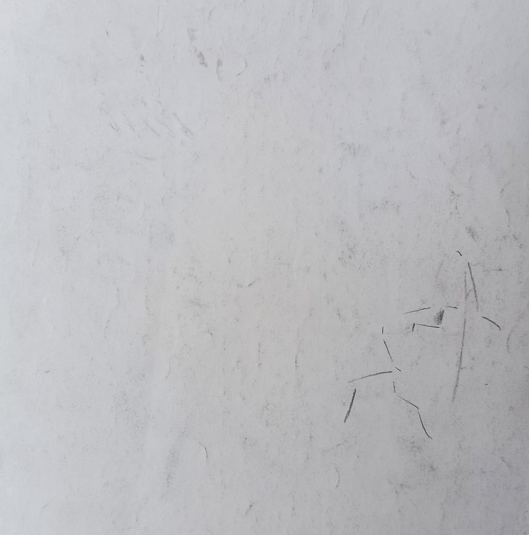 Abstract pencil painting Naked girls Peter Tovpev - 4