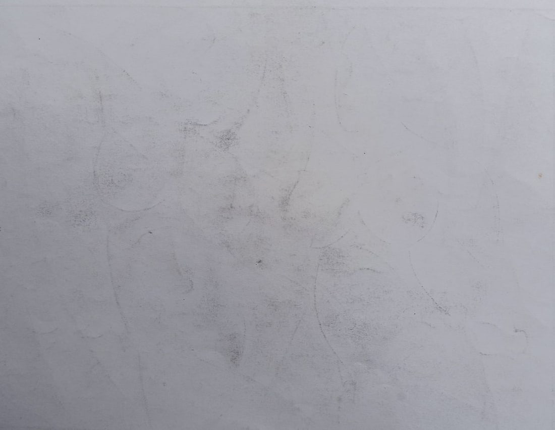 Abstract pencil painting Portrait of naked girls Peter Tovpev - 4
