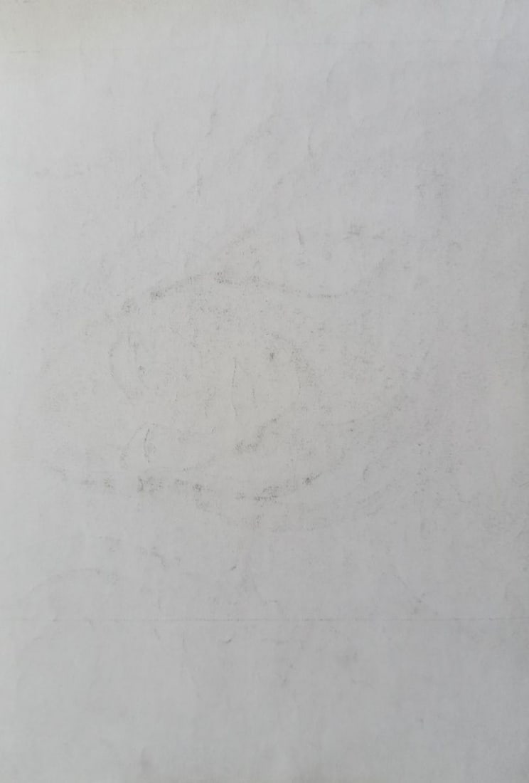 Abstract pencil painting Portrait of a girl Peter Tovpev - 4