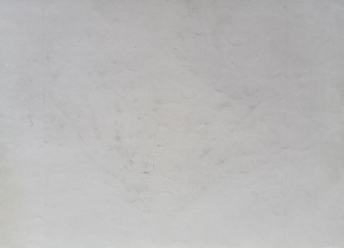 Abstract pencil painting Portrait of a girl Peter Tovpev - 4
