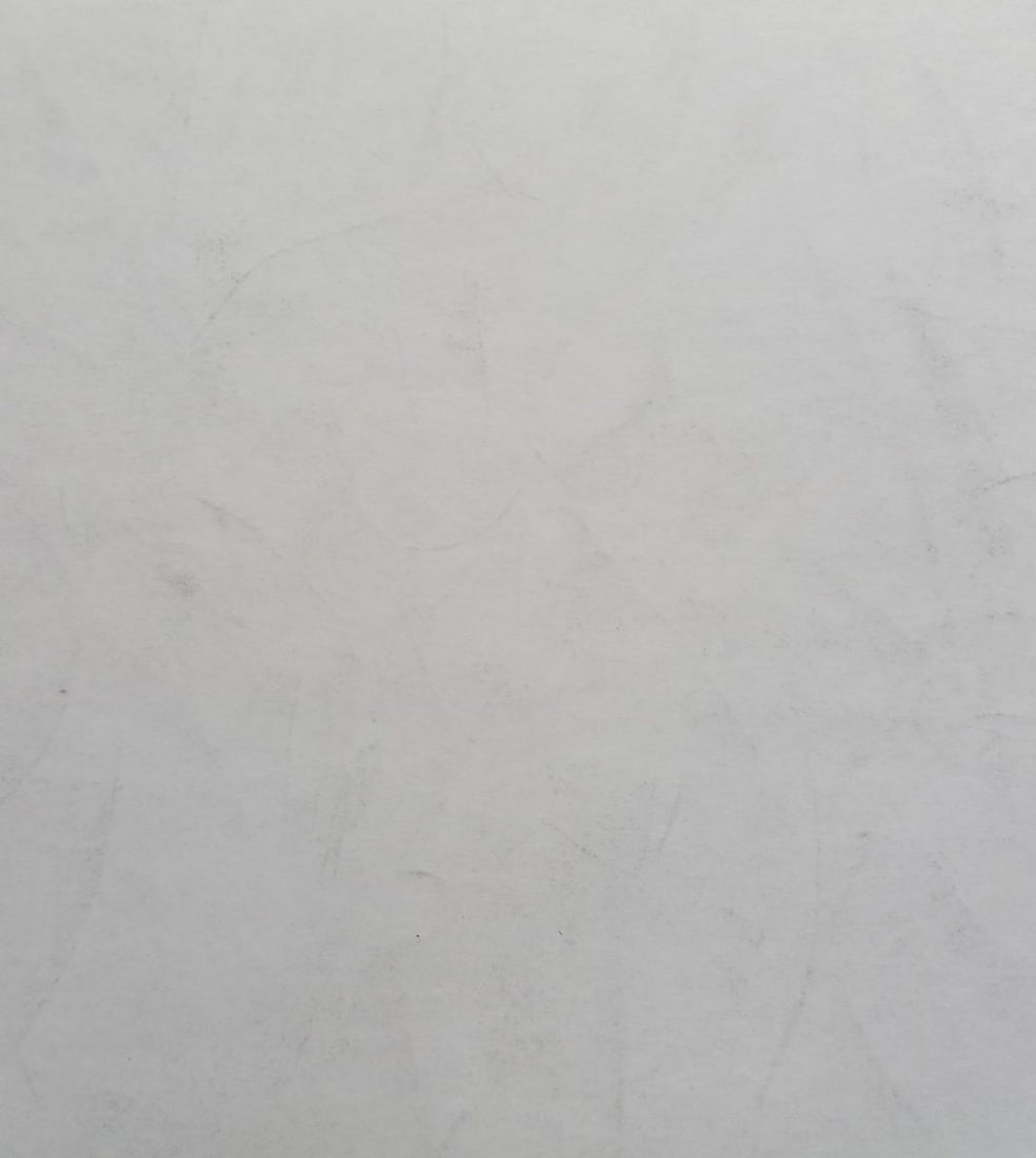 Abstract pencil painting Portrait of a naked girl Peter Tovpev - 4
