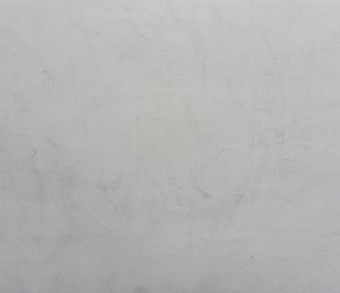 Abstract pencil painting Naked girls Peter Tovpev - 4