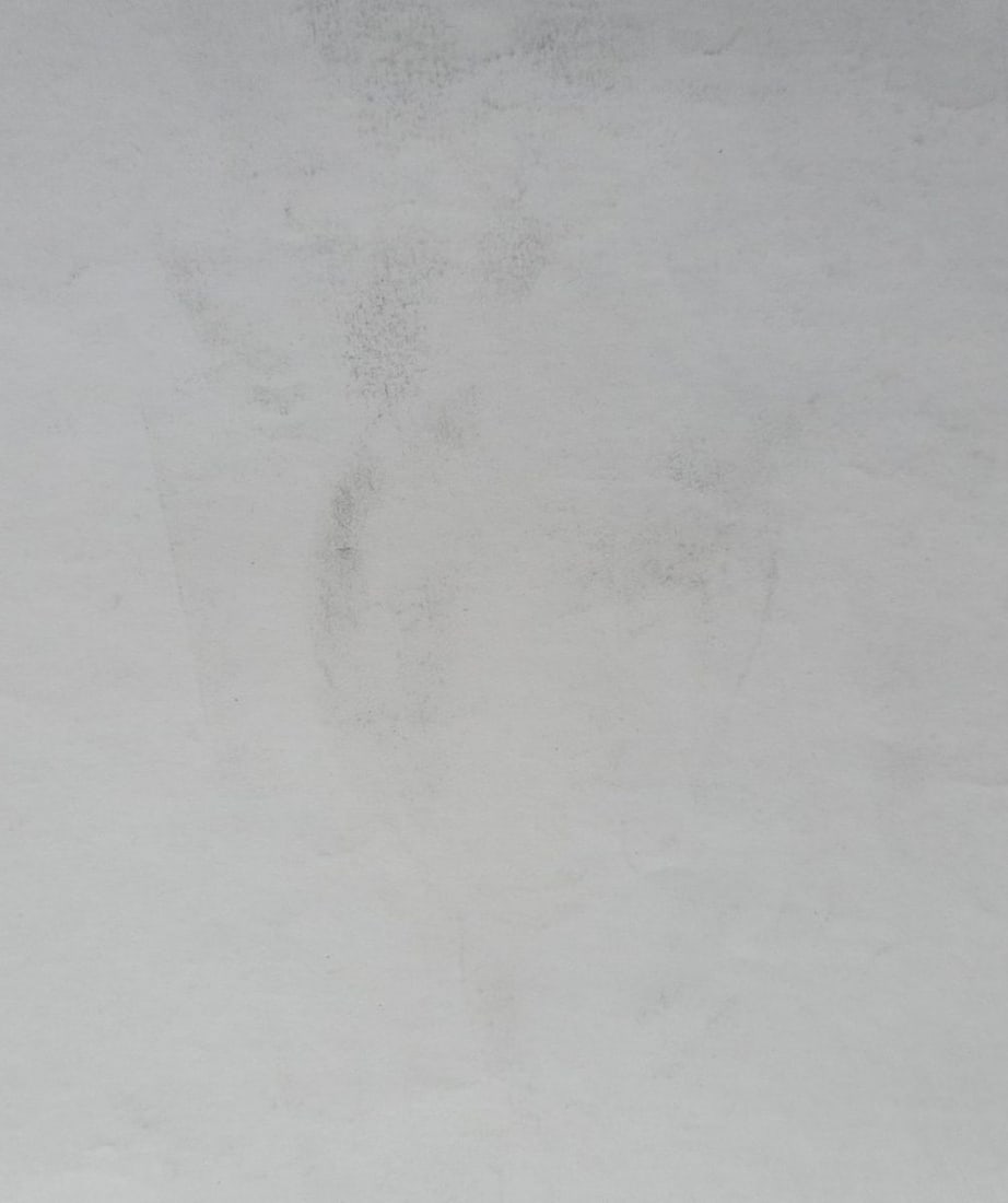 Abstract pencil painting Portrait of a girl Peter Tovpev - 4