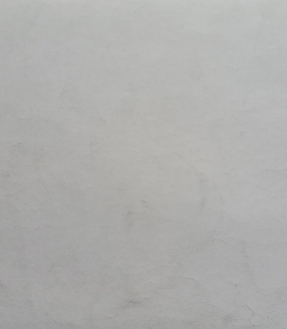 Abstract pencil painting Portrait of a naked girl Peter Tovpev - 4