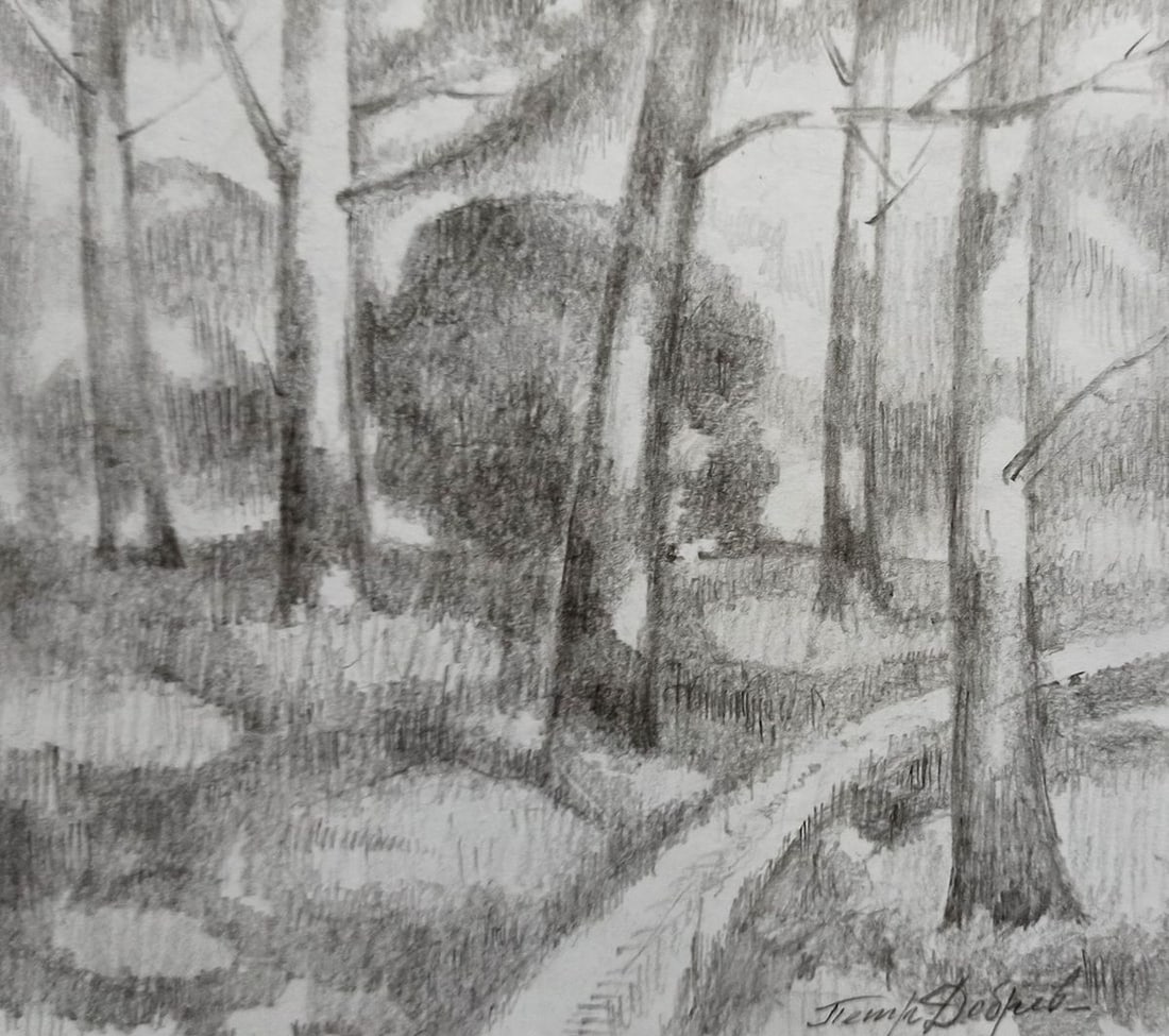 Pencil painting Road to the forest Peter Tovpev: Title: Pencil painting Road to the forest Peter Tovpev Description: NoDobr 523 *** ABOUT THIS PAINTING *** * TITLE: "Road to the forest" * ARTISTS: Peter Tovpev * SIZE: 16x18 cm/'6.29x7.08 inches' * M