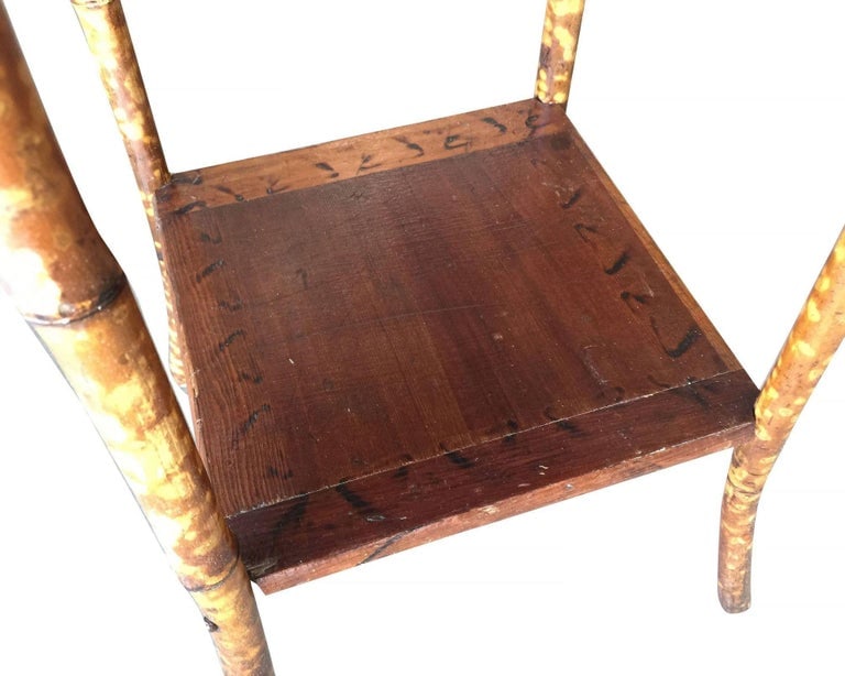 Restored Tiger Bamboo Tortoise Pedestal W/ Storage Box - 3