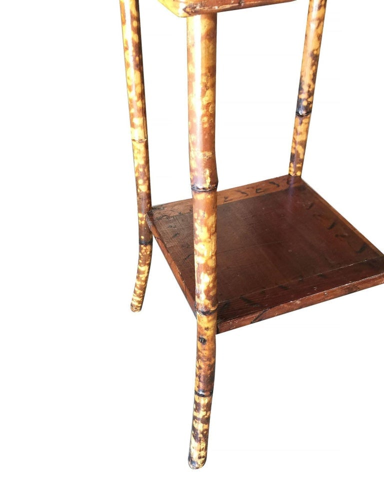 Restored Tiger Bamboo Tortoise Pedestal W/ Storage Box - 6