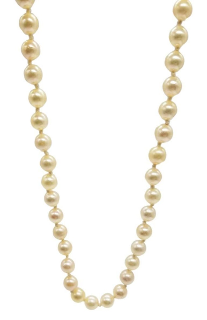 Mid-century South Sea Roud Pearl Choker Necklace on Silk Cord w/ Silver Clasp - 3