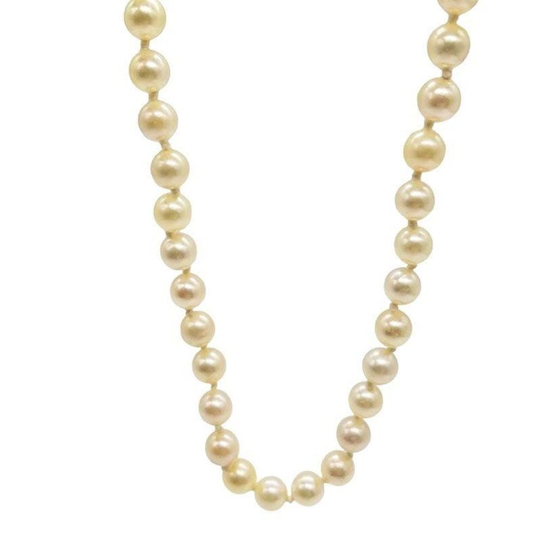 Mid-century South Sea Roud Pearl Choker Necklace on Silk Cord w/ Silver Clasp - 4