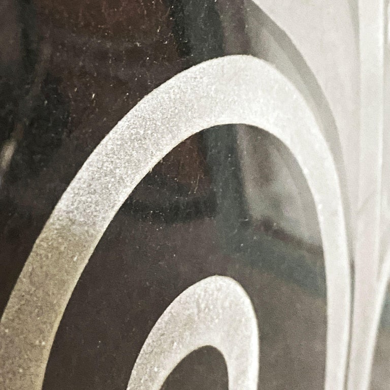 Hand Etched Organic Patterned Art Deco Door, Circa 1920 - 8