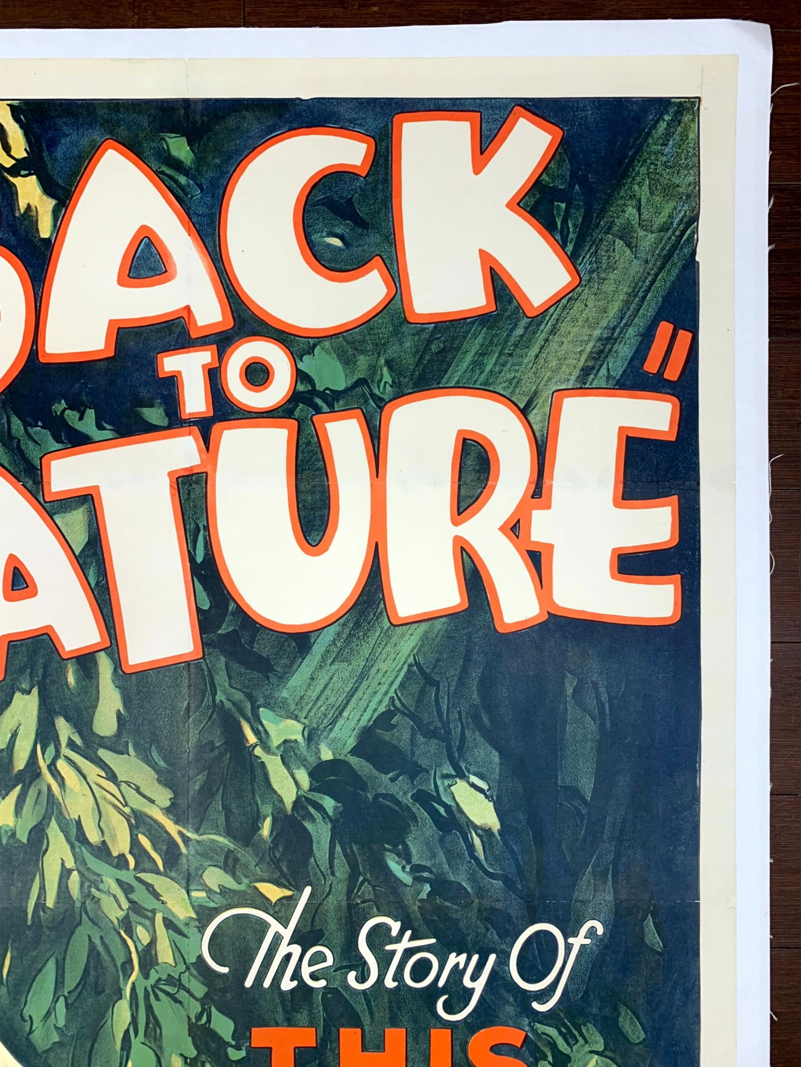 Back To Nature - This Nude World (1933) US One Sheet Movie Poster LB - 6