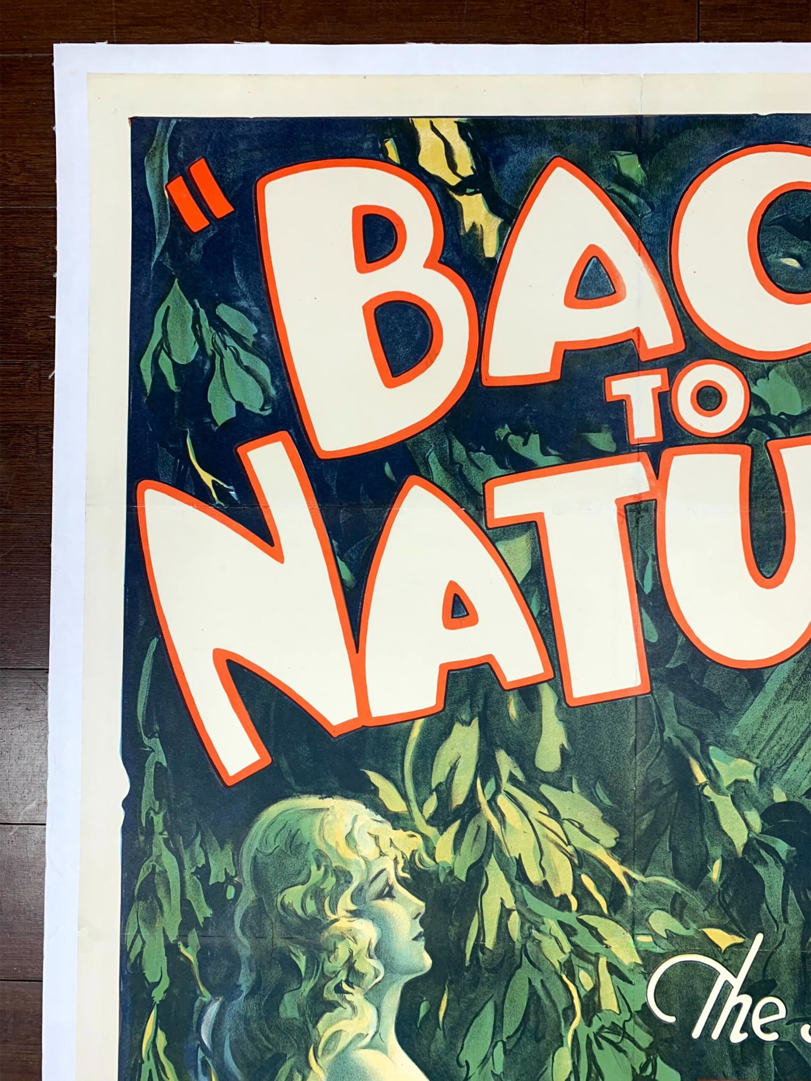Back To Nature - This Nude World (1933) US One Sheet Movie Poster LB - 7