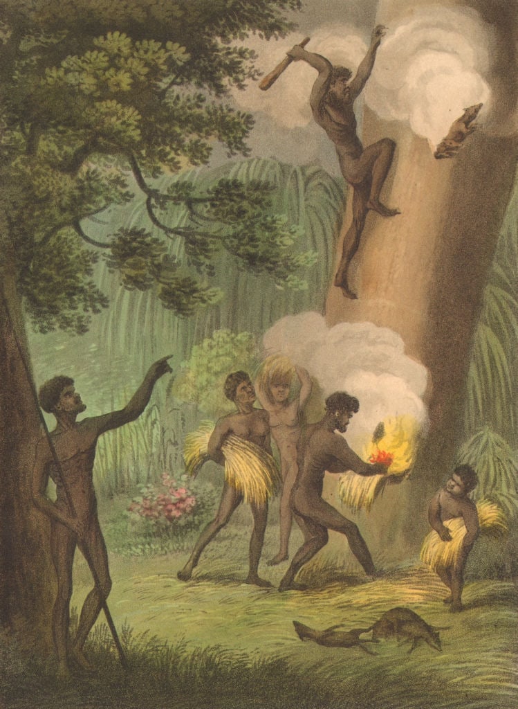 AUSTRALIA ABORIGINES. Smoking out the Opossum. New South Wales (Orme) 1814: Smoking out the Opossum'. JH Clark del; M Dubourg sculpt. Published 1814. Antique aquatint print with original hand colouring, borders and wide margins. Size 18 x 13 cm | 7.0 x 5.0 inches. Condition: