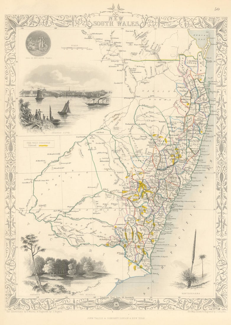 NEW SOUTH WALES showing Gold Rush fields/diggings. Sydney RAPKIN/TALLIS 1851 map: New South Wales'. Vignettes: Sydney Cove; Pandanus; The Murray; Xanthorrhaea; seal of New South Wales. Counties are shown. . Map drawn and engraved by J. Rapkin; vignette illustrations drawn by H