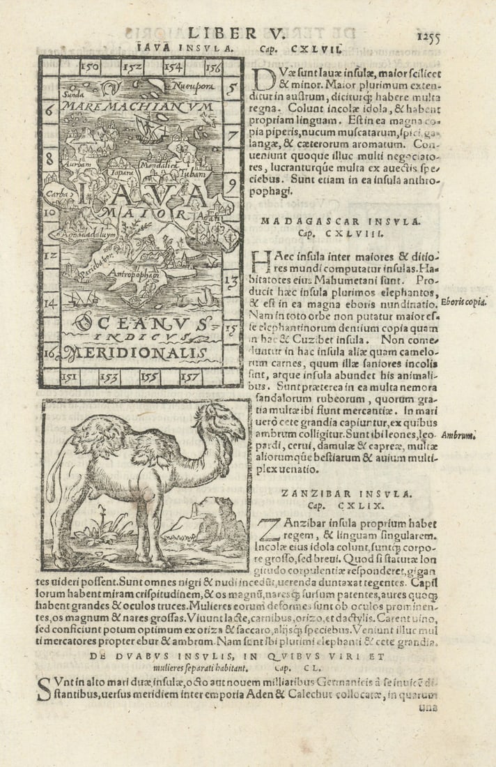 Java Insula. Iava Maior. The Island of Java, Indonesia. MÜNSTER 1572 old map: Java Insula [The Island of Java] by Münster, Sebastian. Published 1572. Antique 16th century woodcut map. Size 28 x 18 cm | 11.0 x 7.0 inches. Condition: Good; suitable for framing. Several