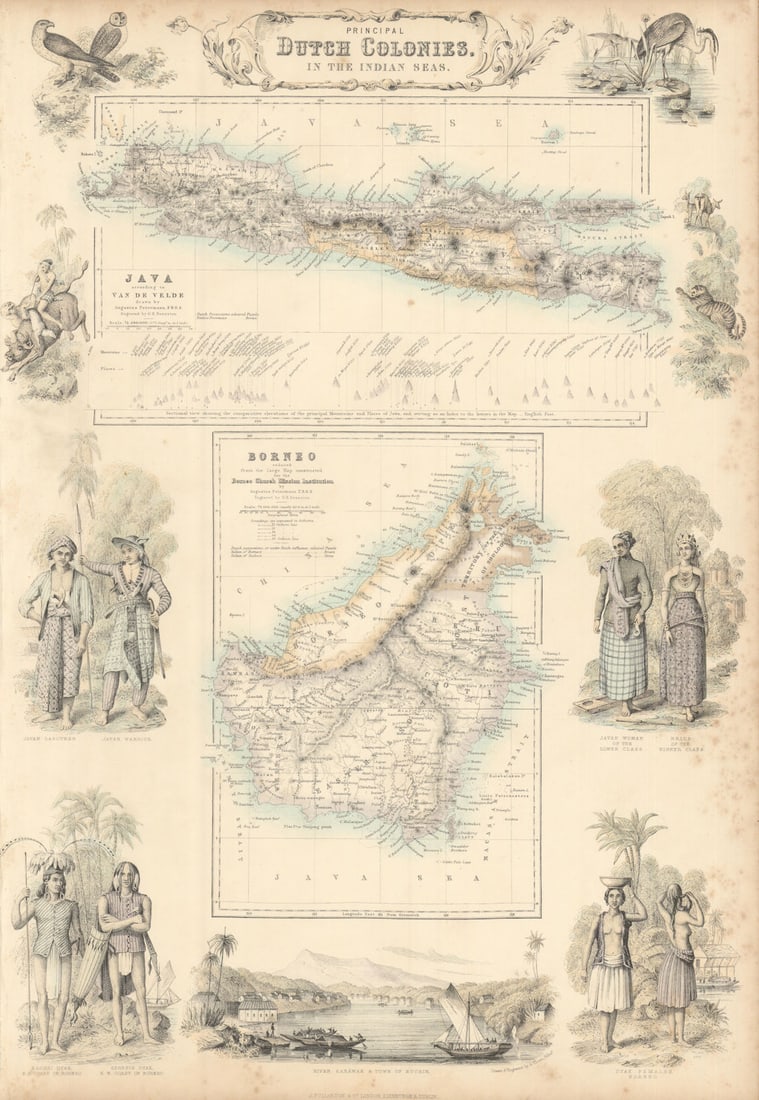 Principal Dutch Colonies in the Indian Seas. Java & Borneo. Indonesia c1863 map (1 of 1)