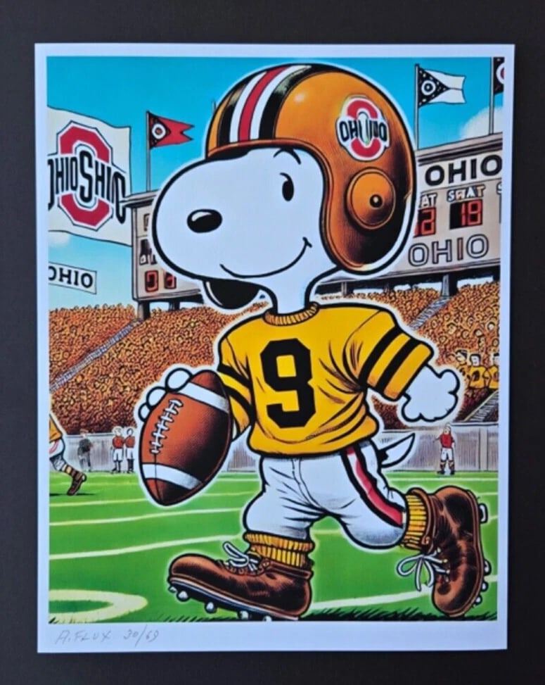 AIDAN FLUX | Hand Signed Print Framed Edition (69) COA SNOOPY OHIO QUARTERBACK - 2