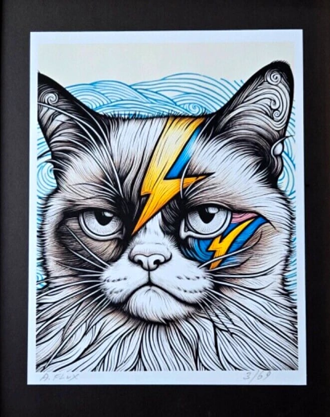 AIDAN FLUX | Hand Signed Original Print Framed LtdEd COA " DAVID BOWIE'S CAT " - 2