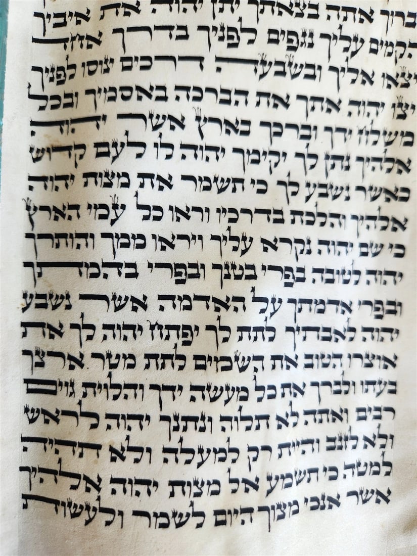 TORAH SCROLL FRAGMENT VELLUM MANUSCRIPT 19th century ANTIQUE DEUTERONOMY 24 - 28 - 3