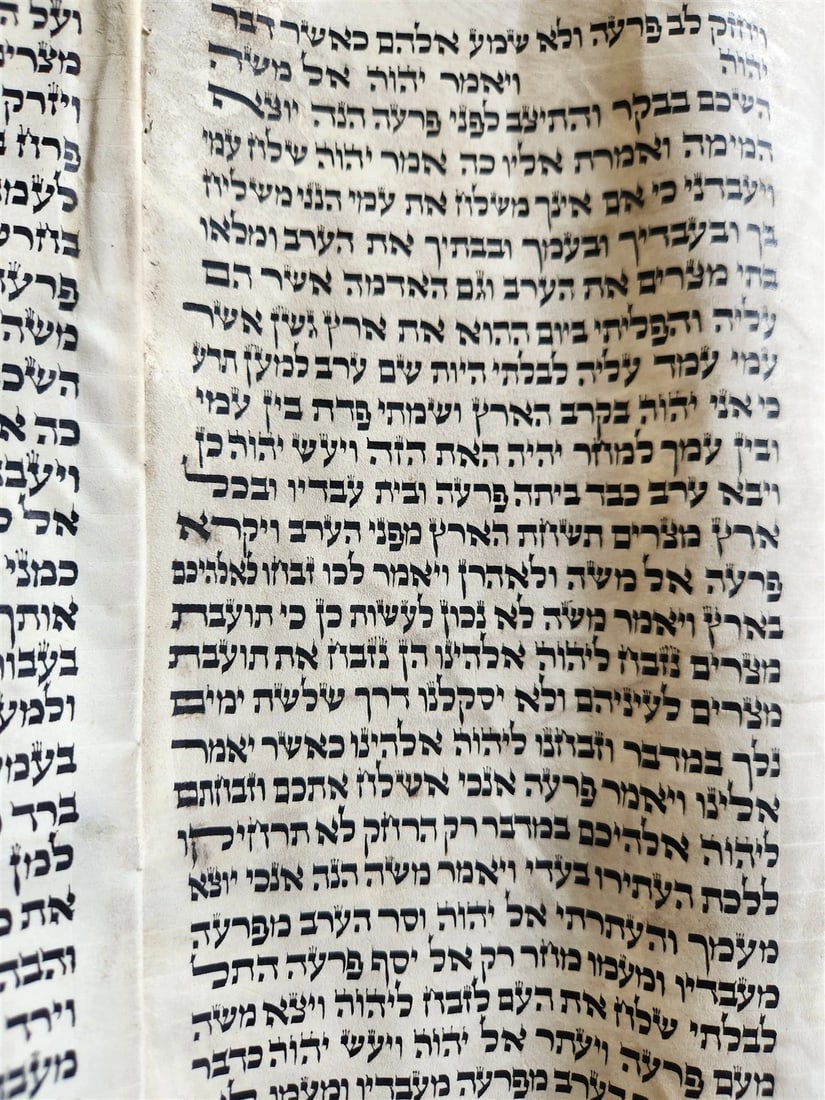 TORAH SCROLL FRAGMENT MANUSCRIPT on VELLUM 19th century ANTIQUE BIBLE EXODUS 12 - 3