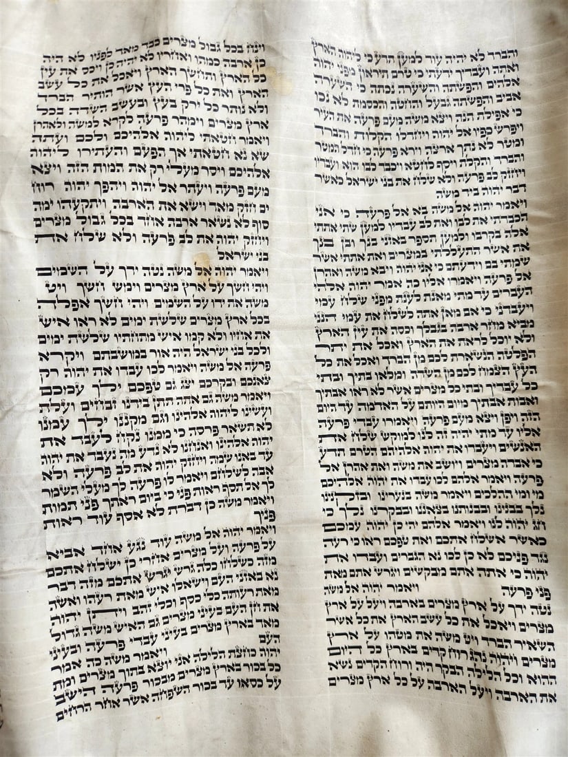 TORAH SCROLL FRAGMENT MANUSCRIPT on VELLUM 19th century ANTIQUE BIBLE EXODUS 12 - 4