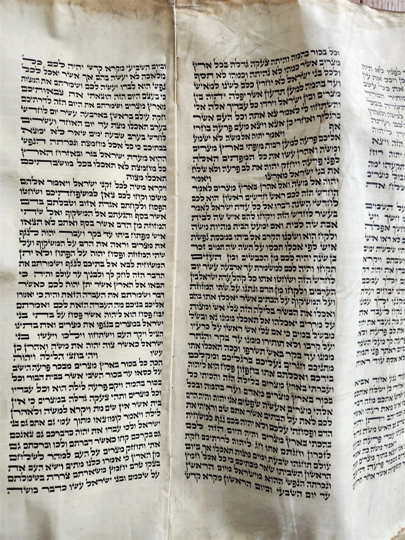 TORAH SCROLL FRAGMENT MANUSCRIPT on VELLUM 19th century ANTIQUE BIBLE EXODUS 12 - 5
