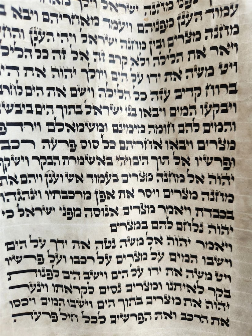 TORAH SCROLL FRAGMENT MANUSCRIPT on VELLUM 19th century ANTIQUE BIBLE EXODUS 12 - 7