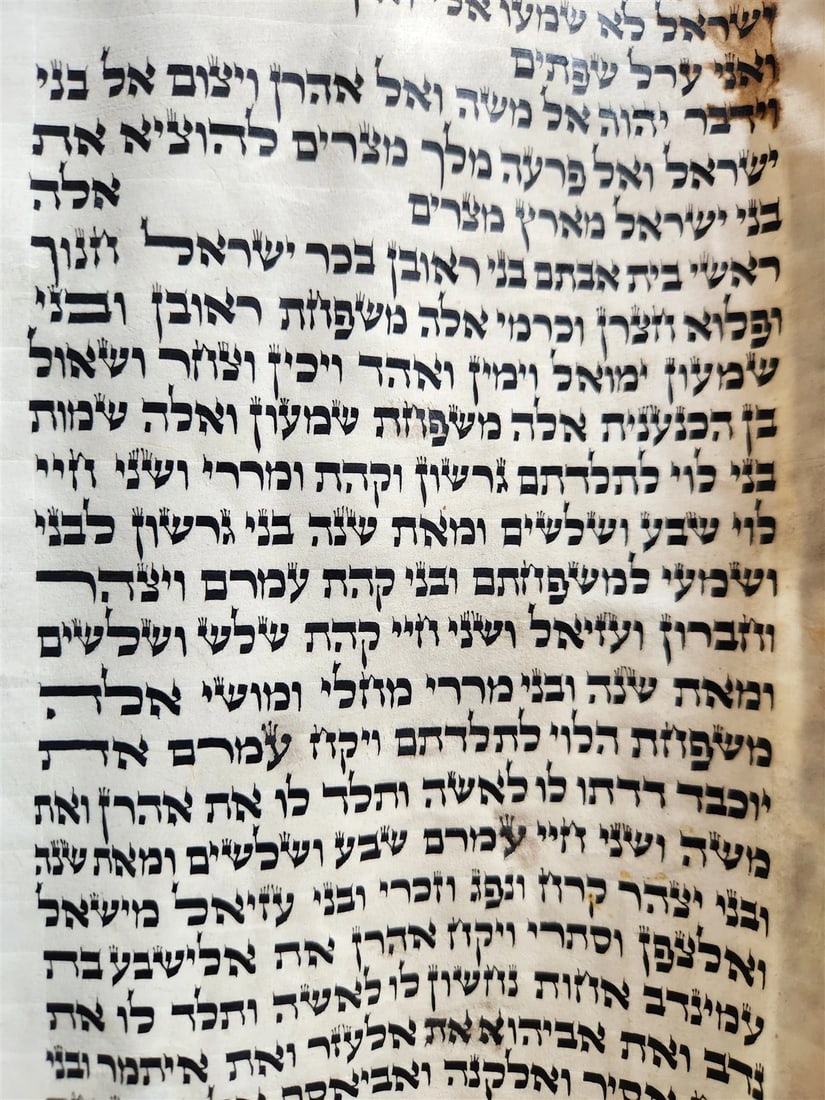 TORAH SCROLL FRAGMENT MANUSCRIPT on VELLUM 19th century ANTIQUE BIBLE EXODUS 12 - 9