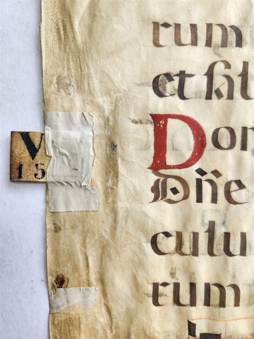 16th century ANTIPHONAL VELLUM MANUSCRIPT antique LITURGICAL TEXT in LATIN 18x27 - 4