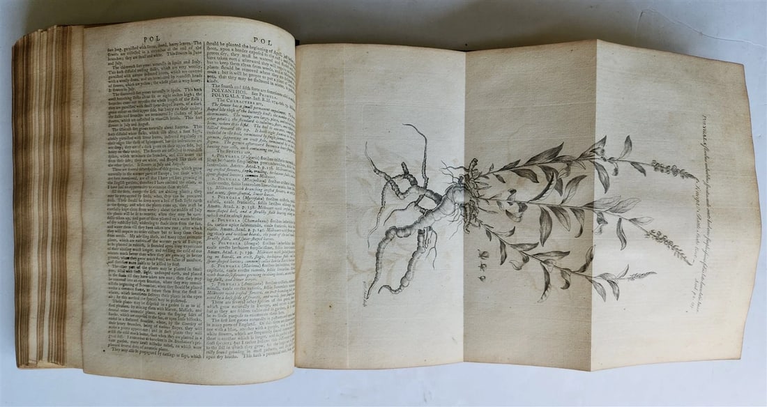 1771 Abridgement of the Gardeners Dictionary ILLUSTRATED in ENGLISH antique - 4