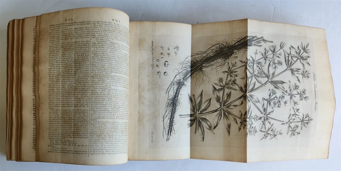 1771 Abridgement of the Gardeners Dictionary ILLUSTRATED in ENGLISH antique - 5