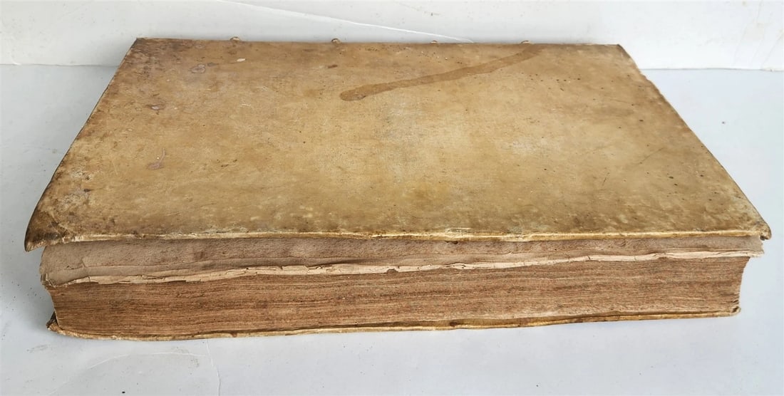 1573 WORKS of GREGORY of NYSSA antique VELLUM BOUND 16th CENTURY FOLIO - 3