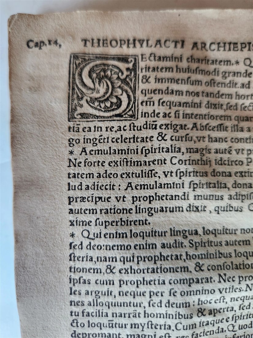 1537 Theophylactus de Achrida ANTIQUE In omnes D. Pauli epistolas enarrationes - 6