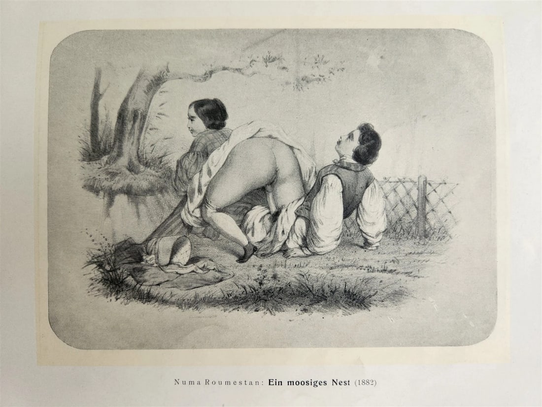 1910 FRENCH EROTICA in GERMAN ILLUSTRATED 2 VOLUMES antique RARE LTD EDITION - 12
