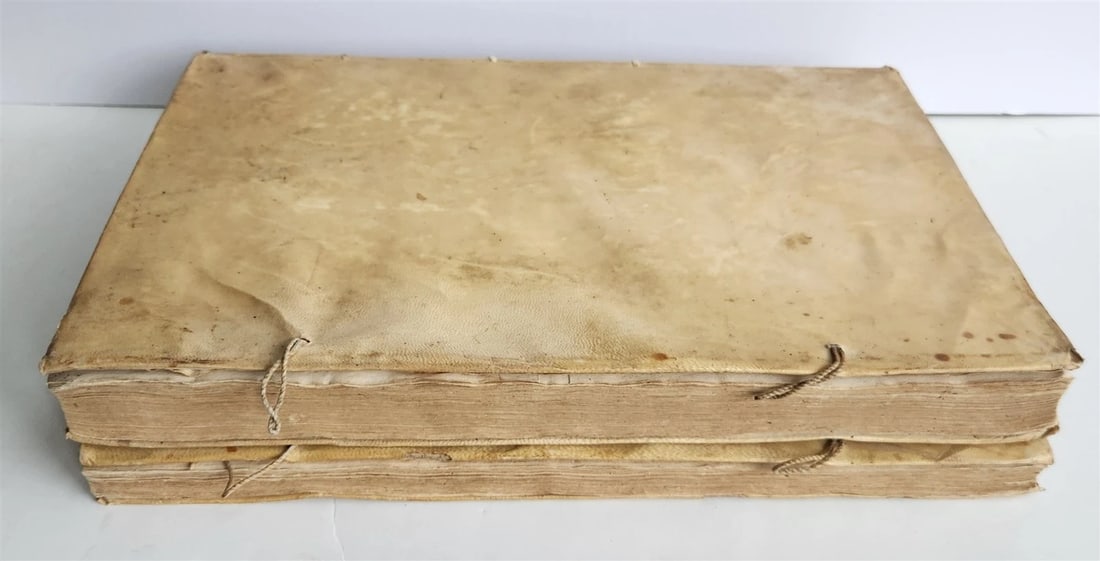 1734 ILLUSTRATED HISTORY of LEOPOLD I antique 2 FOLIO VOLUMES in SPANISH - 7