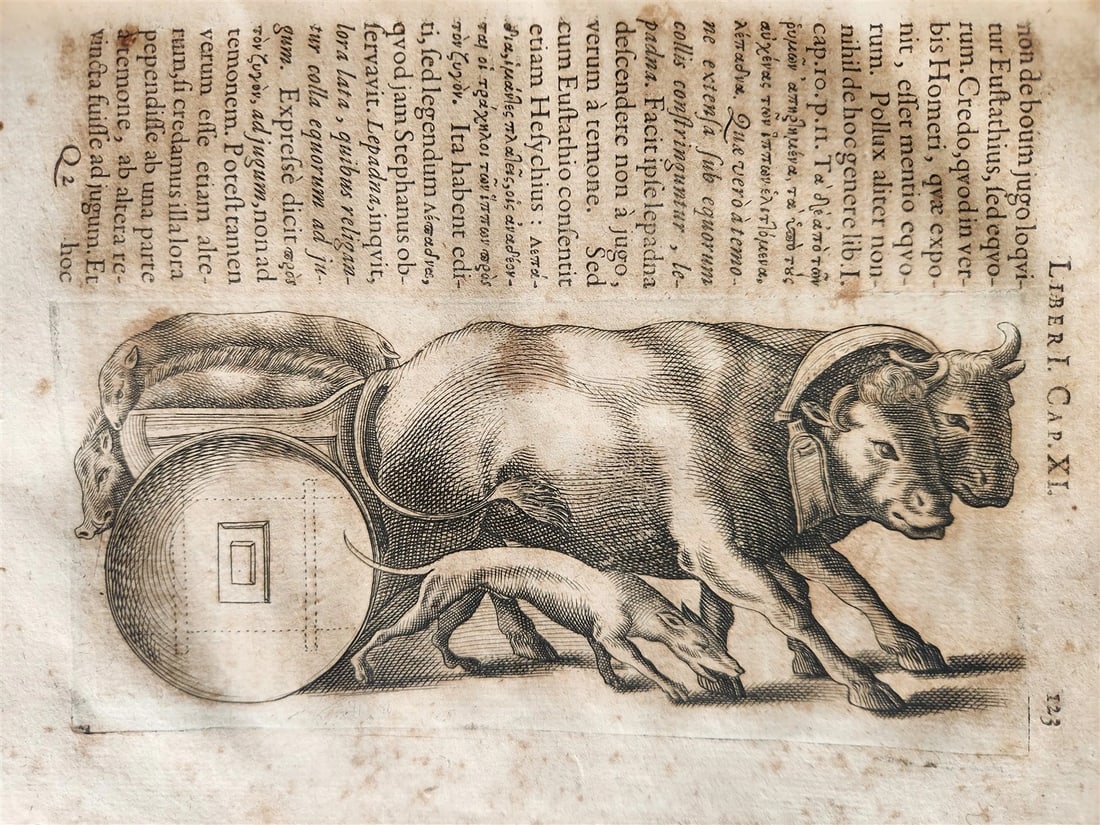 1671 TREATISE Treatise on the TRANSPORT of ANTIQUITY antique ILLUSTRATED vellum - 6