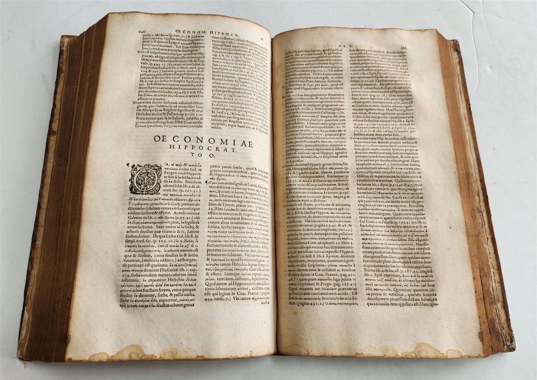 1588 Oeconomia Hippocratis antique MEDICAL 16th CENTURY - 9
