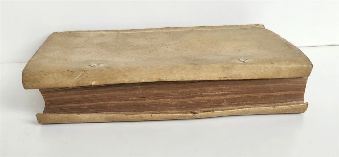 1600 De Universa Historia Dominicae Passionis antique 16th CENTURY vellum bound - 3
