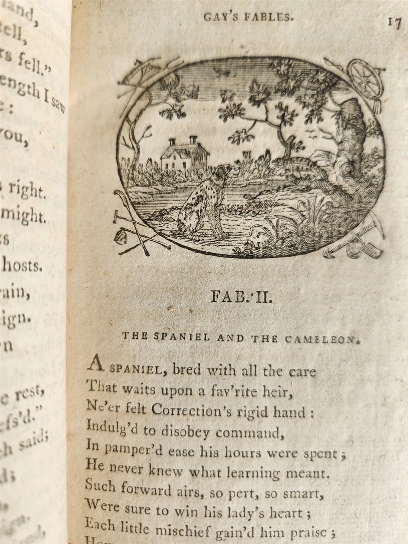1797 FABLES of JOHN GAY antique ILLUSTRATED in ENGLISH poetry - 5