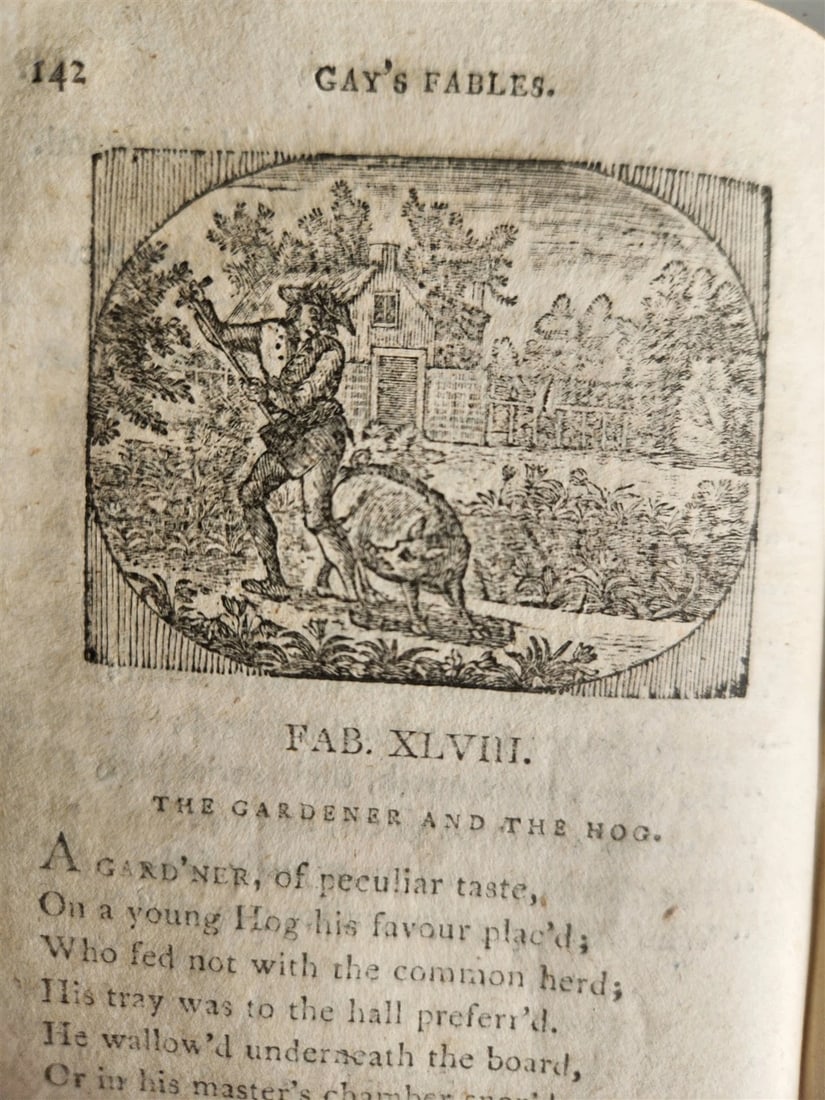 1797 FABLES of JOHN GAY antique ILLUSTRATED in ENGLISH poetry - 9