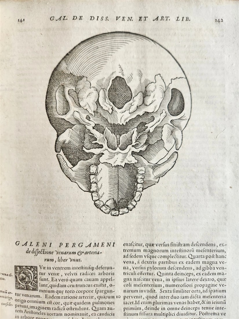 1571 MEDICAL TREATISE ILLUSTRATED antique 16th century FOLIO Epitome Galeni - 3