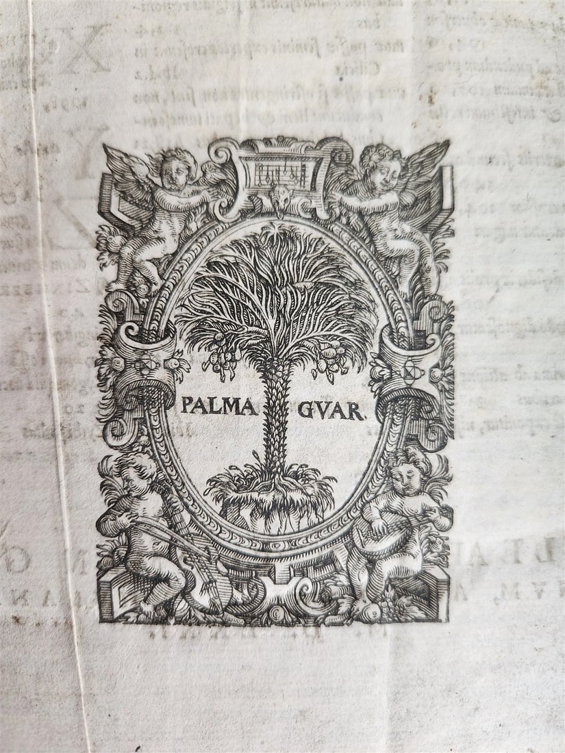 1571 MEDICAL TREATISE ILLUSTRATED antique 16th century FOLIO Epitome Galeni - 5
