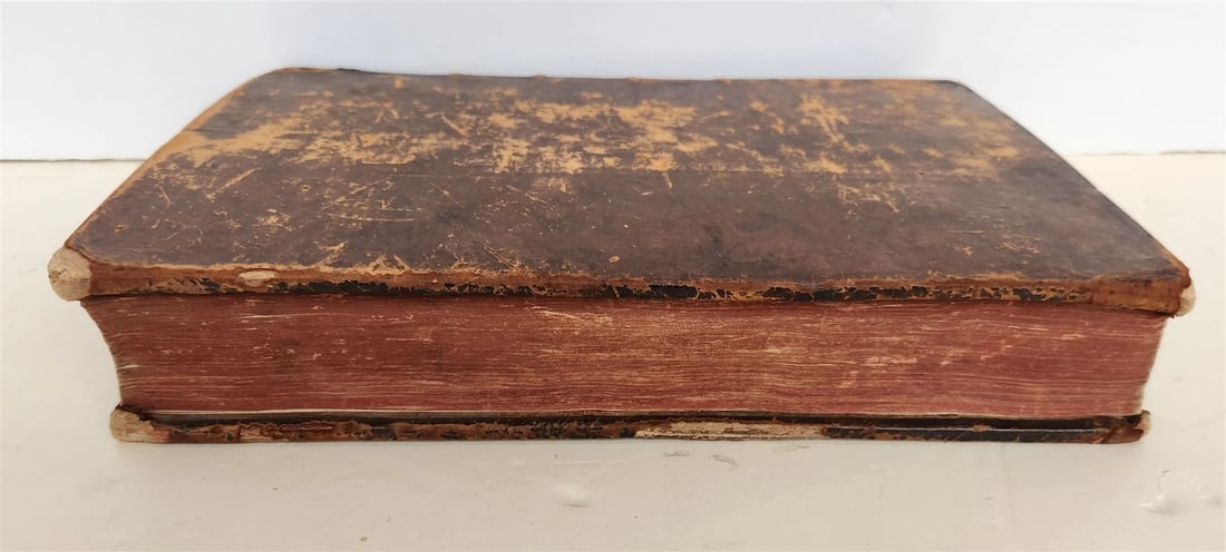 1571 MEDICAL TREATISE ILLUSTRATED antique 16th century FOLIO Epitome Galeni - 7