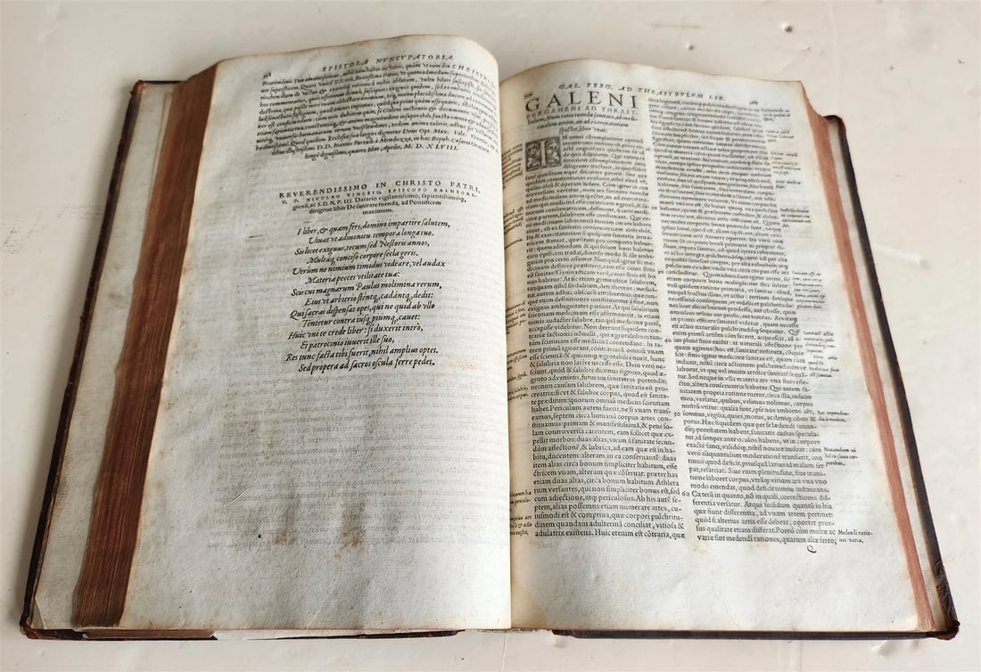 1571 MEDICAL TREATISE ILLUSTRATED antique 16th century FOLIO Epitome Galeni - 9