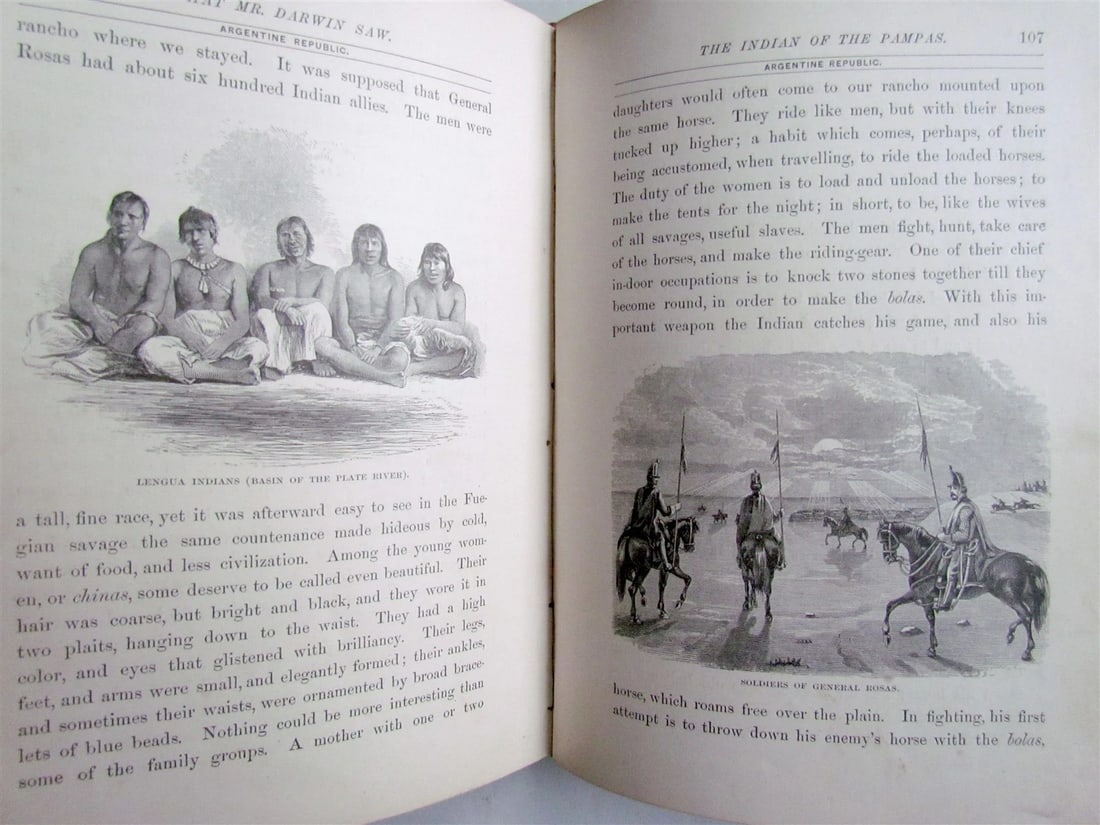 1880 WHAT MR. DARWIN SAW IN HIS VOYAGE ROUND THE WORLD IN SHIP BEAGLE ANTIQUE - 10