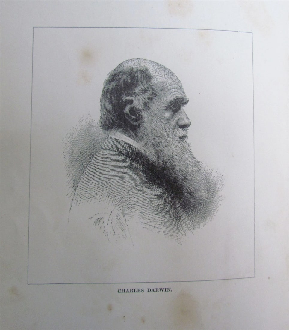 1880 WHAT MR. DARWIN SAW IN HIS VOYAGE ROUND THE WORLD IN SHIP BEAGLE ANTIQUE - 3
