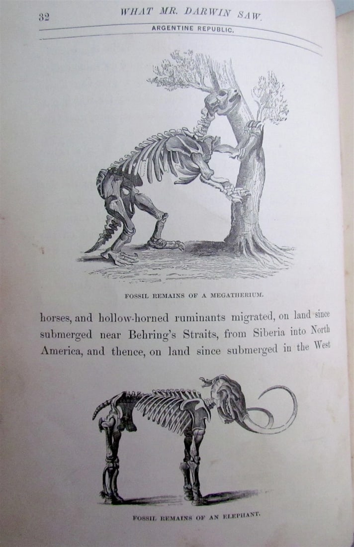 1880 WHAT MR. DARWIN SAW IN HIS VOYAGE ROUND THE WORLD IN SHIP BEAGLE ANTIQUE - 4