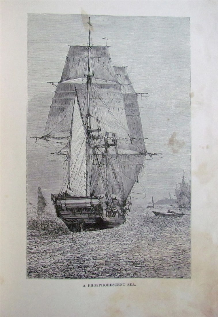 1880 WHAT MR. DARWIN SAW IN HIS VOYAGE ROUND THE WORLD IN SHIP BEAGLE ANTIQUE - 5